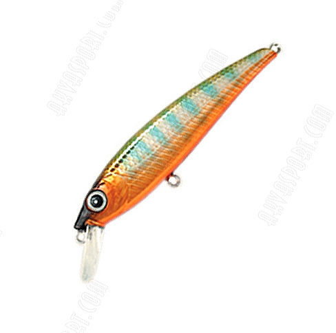 Zerek Wonder Minnow Medium Bib